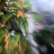 ヒメ日記 2025/10/23 14:14 投稿 りん 吉原アクアパレス