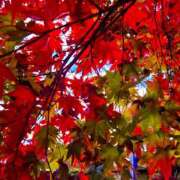 りん 15時から 吉原アクアパレス