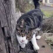 ヒメ日記 2025/12/11 14:24 投稿 りん 吉原アクアパレス