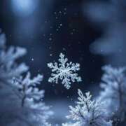 ヒメ日記 2025/12/18 16:50 投稿 りん 吉原アクアパレス