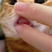 ヒメ日記 2025/12/23 23:35 投稿 りん 吉原アクアパレス