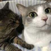 ヒメ日記 2026/01/22 10:36 投稿 りん 吉原アクアパレス