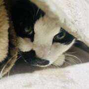 ヒメ日記 2026/03/06 12:29 投稿 りん 吉原アクアパレス