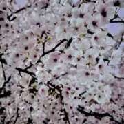 りん 出勤🫧 吉原アクアパレス