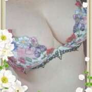 ヒメ日記 2025/06/15 09:55 投稿 かりん 熟女家 ミナミエリア店