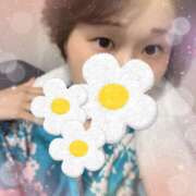 ヒメ日記 2025/07/03 17:04 投稿 めめ 和風ぱみゅぱみゅ総本舗