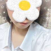 ヒメ日記 2026/01/14 15:35 投稿 めめ 和風ぱみゅぱみゅ総本舗