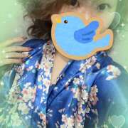 ヒメ日記 2026/02/23 13:46 投稿 めめ 和風ぱみゅぱみゅ総本舗