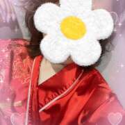 ヒメ日記 2026/04/05 15:39 投稿 めめ 和風ぱみゅぱみゅ総本舗