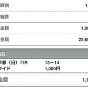 ヒメ日記 2024/11/19 12:22 投稿 さつき クラブルージュ