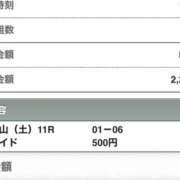 ヒメ日記 2024/12/28 16:02 投稿 さつき クラブルージュ