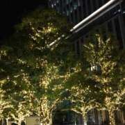 ヒメ日記 2024/12/31 20:12 投稿 さつき クラブルージュ