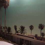 ヒメ日記 2025/01/07 17:32 投稿 さつき クラブルージュ