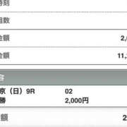 ヒメ日記 2025/01/12 14:42 投稿 さつき クラブルージュ