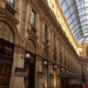 ヒメ日記 2025/02/11 06:52 投稿 さつき クラブルージュ