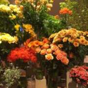 ヒメ日記 2025/02/18 08:02 投稿 さつき クラブルージュ