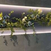 ヒメ日記 2025/03/09 19:52 投稿 さつき クラブルージュ