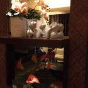 ヒメ日記 2025/03/22 20:32 投稿 さつき クラブルージュ