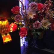 ヒメ日記 2025/03/31 08:52 投稿 さつき クラブルージュ