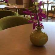 ヒメ日記 2025/04/02 12:04 投稿 さつき クラブルージュ