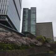 ヒメ日記 2025/04/03 09:22 投稿 さつき クラブルージュ