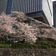 ヒメ日記 2025/04/10 07:22 投稿 さつき クラブルージュ