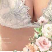 ヒメ日記 2025/04/27 20:03 投稿 さつき クラブルージュ