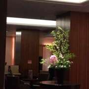 ヒメ日記 2025/05/07 14:12 投稿 さつき クラブルージュ