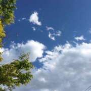 ヒメ日記 2025/05/14 05:12 投稿 さつき クラブルージュ