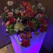 ヒメ日記 2025/05/29 23:02 投稿 さつき クラブルージュ