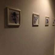 ヒメ日記 2025/06/09 14:32 投稿 さつき クラブルージュ