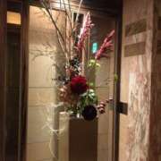 ヒメ日記 2025/06/16 12:32 投稿 さつき クラブルージュ