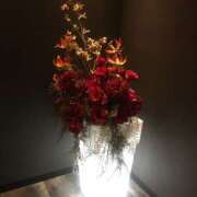 ヒメ日記 2025/06/16 17:52 投稿 さつき クラブルージュ