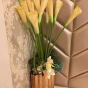 ヒメ日記 2025/06/25 19:42 投稿 さつき クラブルージュ