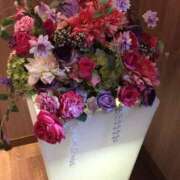 ヒメ日記 2025/07/09 20:12 投稿 さつき クラブルージュ