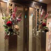 ヒメ日記 2025/07/16 15:03 投稿 さつき クラブルージュ