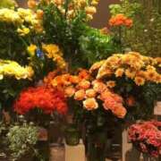 ヒメ日記 2025/07/24 19:03 投稿 さつき クラブルージュ