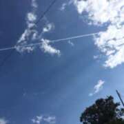 ヒメ日記 2025/08/08 04:42 投稿 さつき クラブルージュ