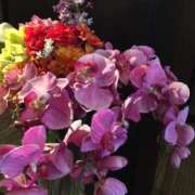 ヒメ日記 2025/08/18 06:52 投稿 さつき クラブルージュ