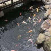 ヒメ日記 2025/08/21 09:22 投稿 さつき クラブルージュ