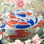 ヒメ日記 2025/09/09 20:02 投稿 さつき クラブルージュ