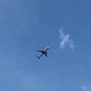 ヒメ日記 2025/09/29 08:52 投稿 さつき クラブルージュ