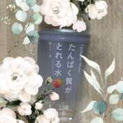 ヒメ日記 2025/10/29 21:52 投稿 さつき クラブルージュ