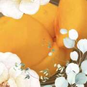 ヒメ日記 2025/10/31 02:12 投稿 さつき クラブルージュ