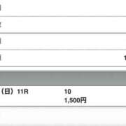 ヒメ日記 2025/12/28 16:02 投稿 さつき クラブルージュ