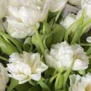 ヒメ日記 2026/01/04 20:12 投稿 さつき クラブルージュ