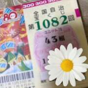 ヒメ日記 2026/01/07 11:32 投稿 さつき クラブルージュ