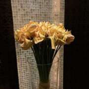 ヒメ日記 2026/01/14 08:42 投稿 さつき クラブルージュ