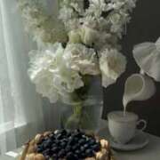 ヒメ日記 2026/01/23 08:32 投稿 さつき クラブルージュ