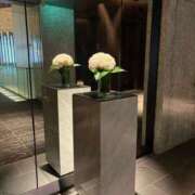 ヒメ日記 2026/02/19 09:32 投稿 さつき クラブルージュ